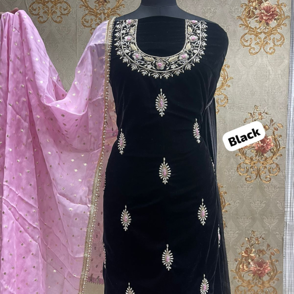 ALLOVER VELVET WITH ORGANZA DUPATTA.. NECK.. AND HEAVY SLEEVES.. HAND WORK